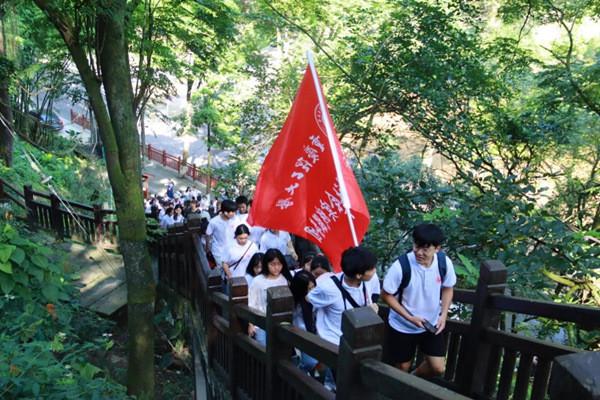 爱吃叶子的毛毛虫